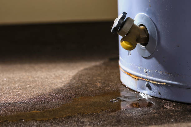 Trusted Elwood, KS Water damage restoration Experts