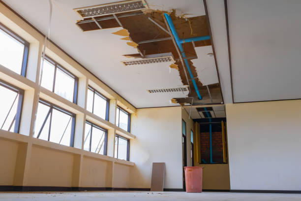 Best Mold removal after water damage  in Elwood, KS