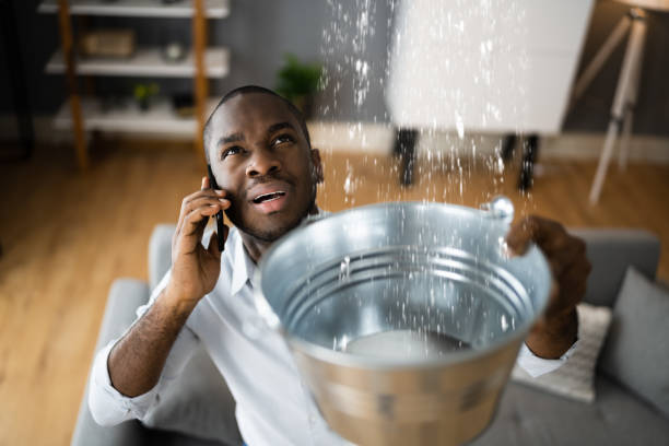 Best Mold removal after water damage  in Elwood, KS