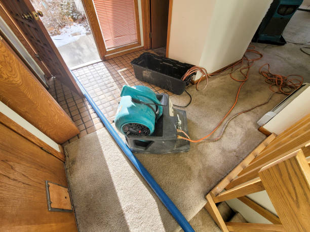 Best Residential water damage restoration  in Elwood, KS