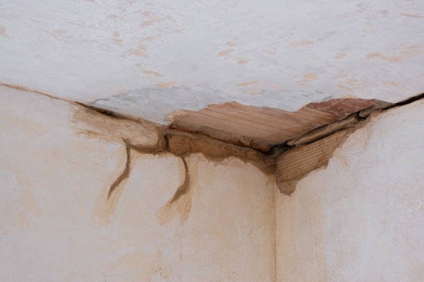 Best Professional water damage repair  in Elwood, KS