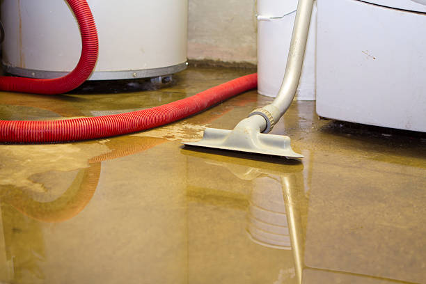 Best Water damage contractors near me  in Elwood, KS