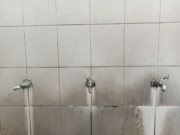 Best Residential water damage restoration  in Elwood, KS