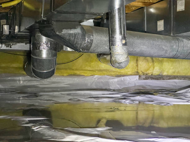 Best Ceiling water damage repair  in Elwood, KS