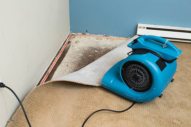 24/7 water damage repair in Elwood, KS